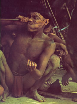 Ein Yanomami läßt sich das Halluzinogen Y upo in die Nase blasen